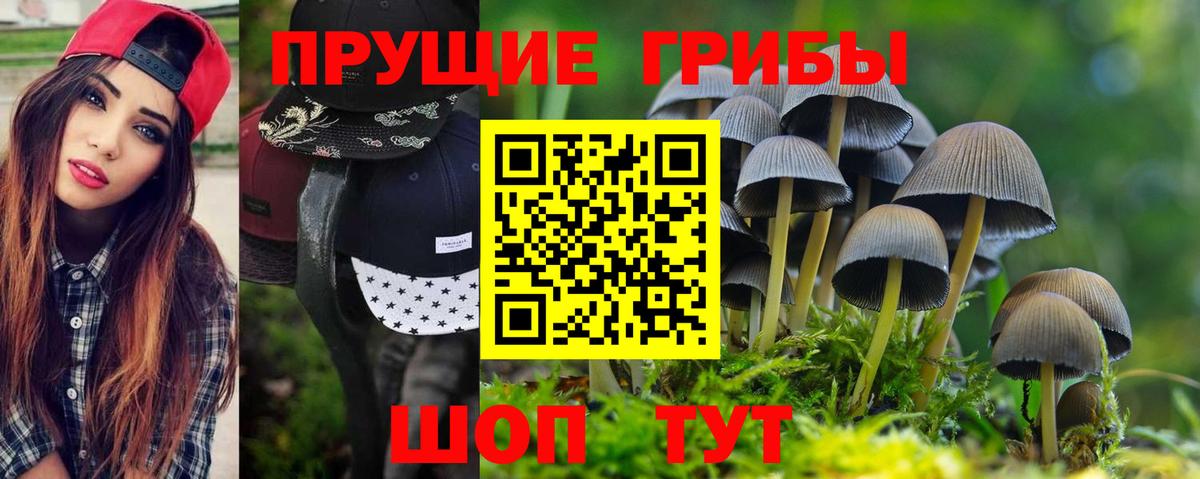 APVP Саратов
