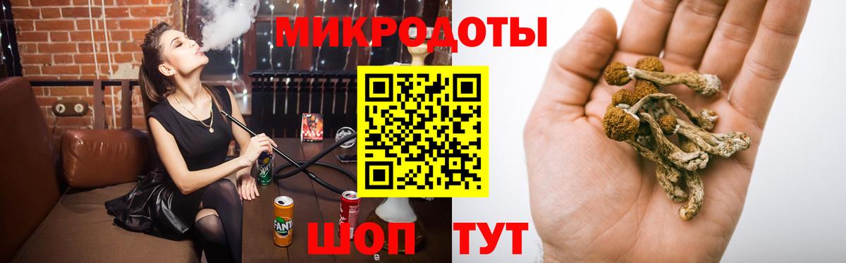 Псилоцибиновые грибы Cubensis  Вход с VPN  Галлюциногенные грибы мицелий  Саратов 