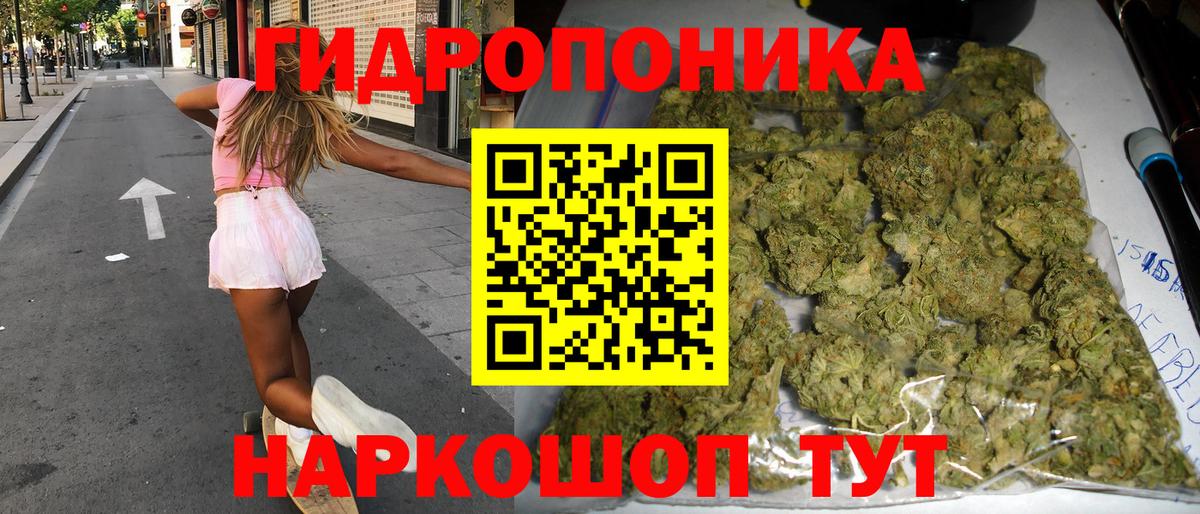 Каннабис гибрид Саратов